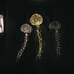 Thalazur - & Lejlighedshotel 3*